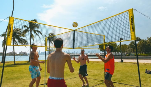 CROSSNET: A New Era of Backyard Fun